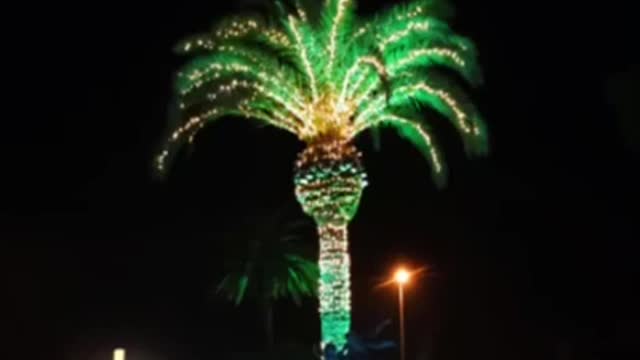 Стрим Ильи Пушкина - 28.01.2022