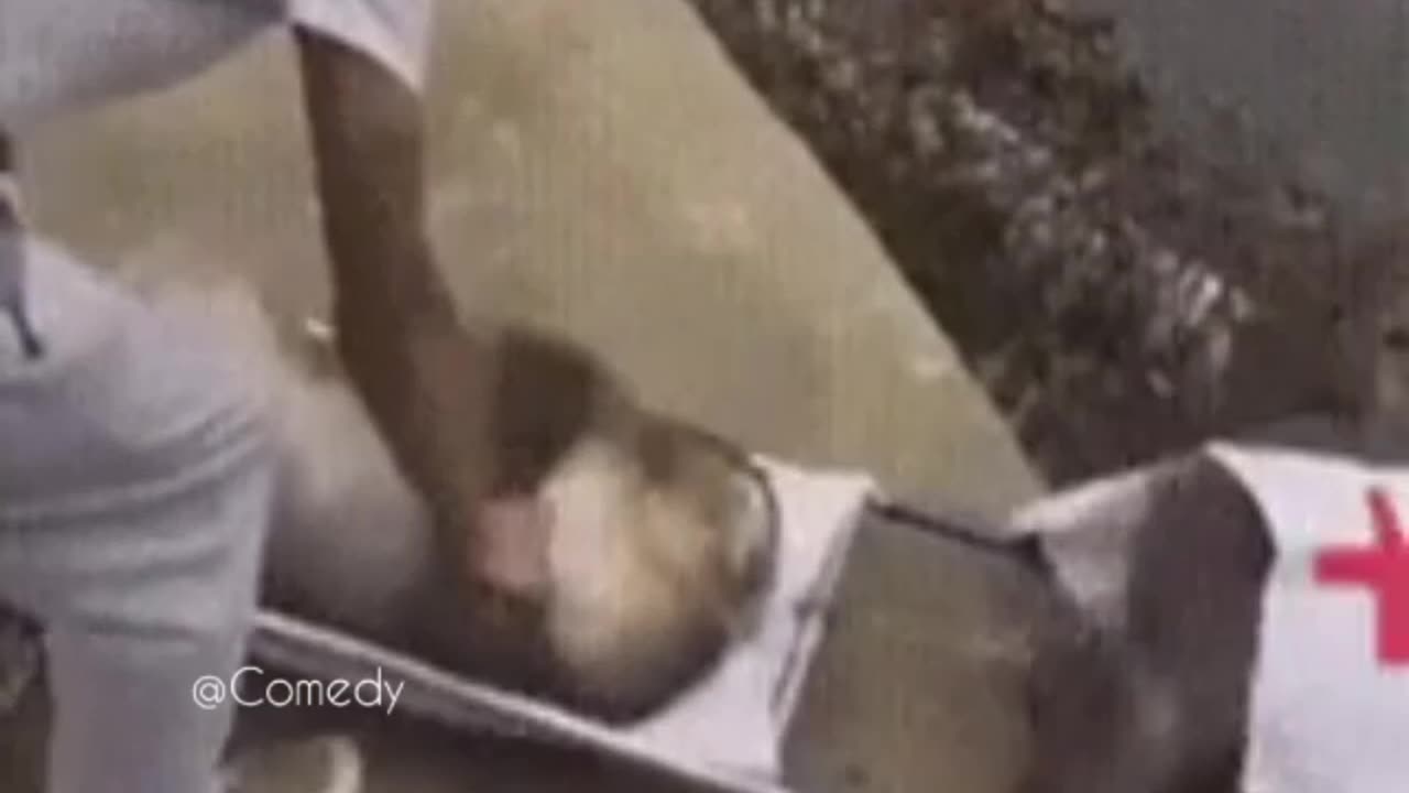 TRY NOT TO LAUGH 😆 Best Funny Videos Compilation 😂😁😆 Memes
