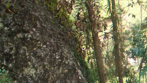 Sig Sig Giant anomalous rock with 3 huge rocks on top of it (story of 'treasure fire')