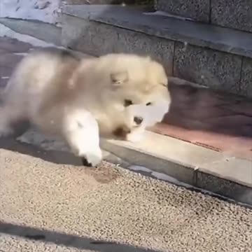 Rate me please ❤❤❤