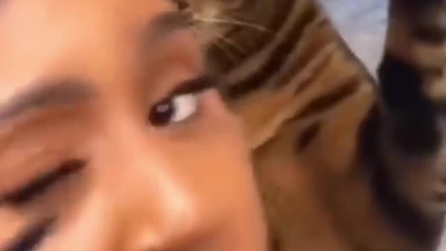 FUNNY CAT REACTION