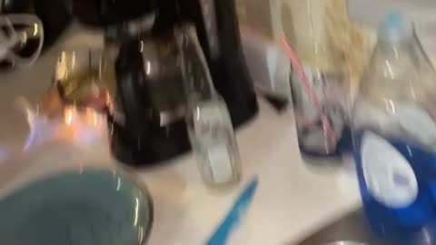 Guys Attempting to Make Flaming Cocktails Light Kitchen on Fire