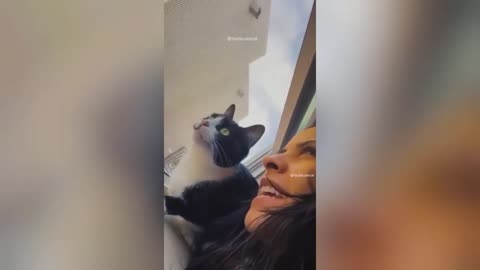 Funny Dogs and Cats Videos