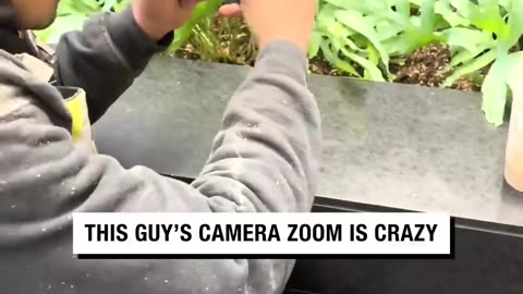 Damn, why doesn’t my phone zoom like that 🤣⁠
