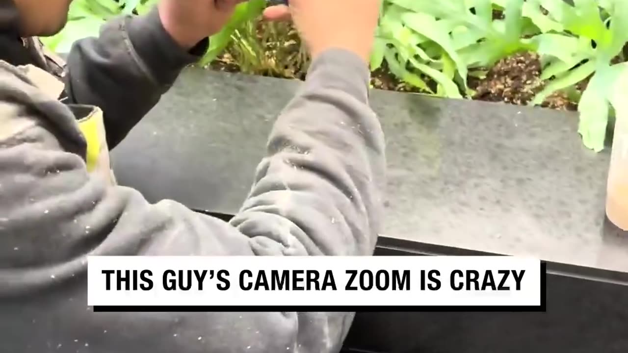 Damn, why doesn’t my phone zoom like that 🤣