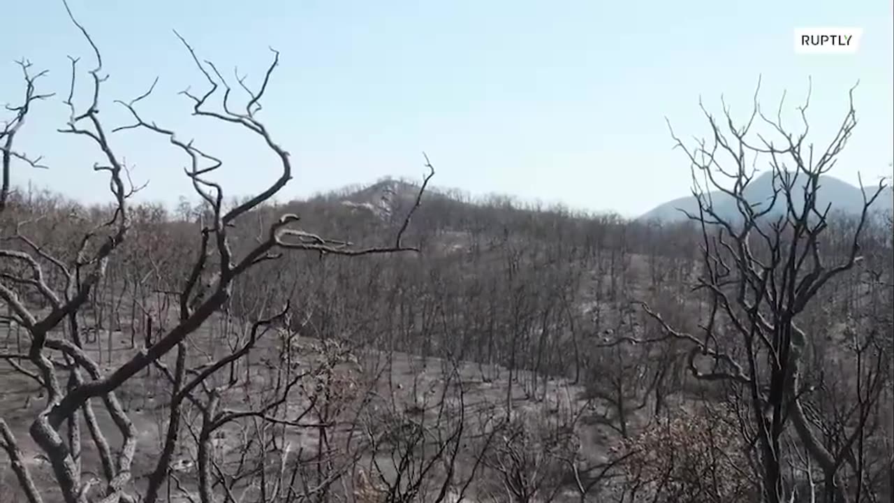 Drone is showing just how much fire has burned the land in Greece on Evros