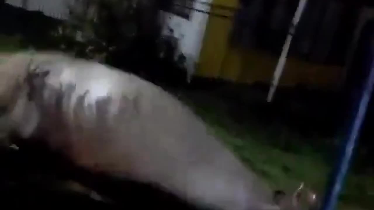 is that!? florida?