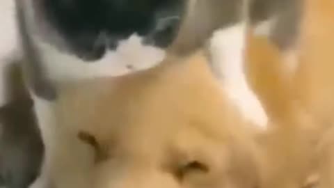 Cute Buddies!!
