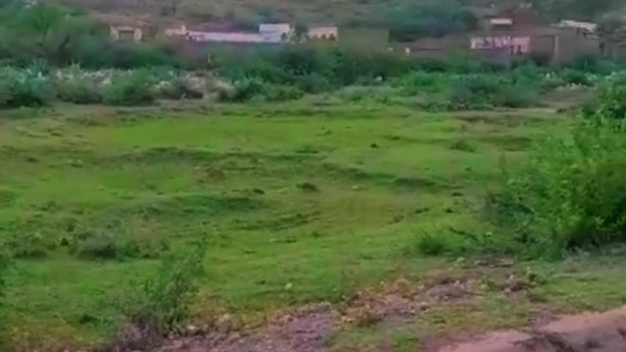 Short velog tiktok velogs
