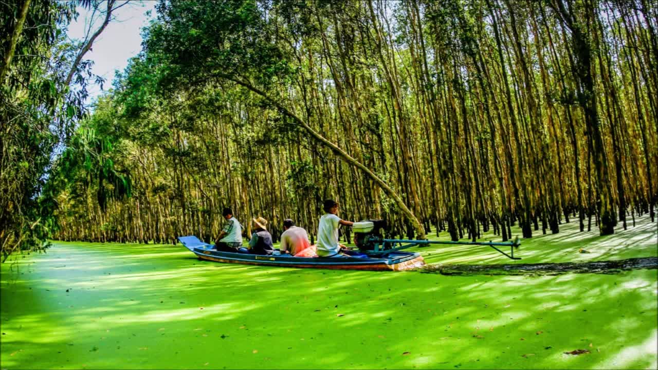 Phong cảnh Việt Nam(1)