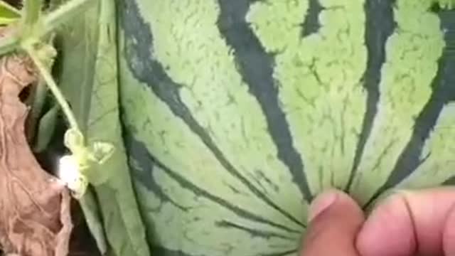 great video