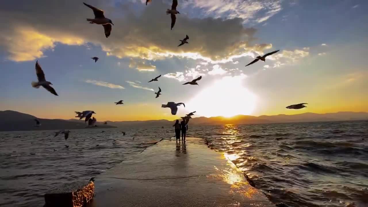 Together forever