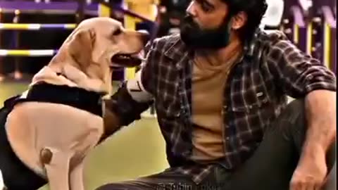 emotional scene #dog #doglover