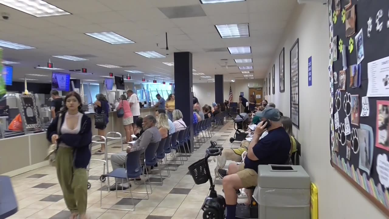 Guy uses First Amendment Protected Activity to express himself at PASCO COUNTY TAX COLLECTORS Office