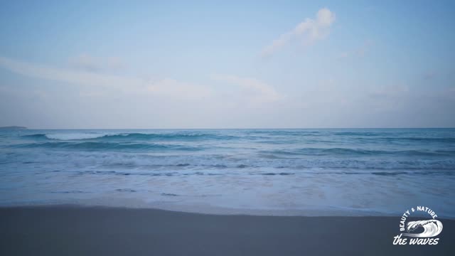 Do you have seafoam in your veins, Do you understand the language of waves?.