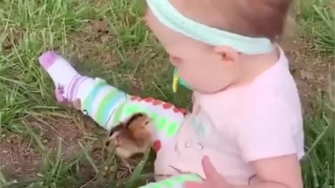 Animals to babies funny moment