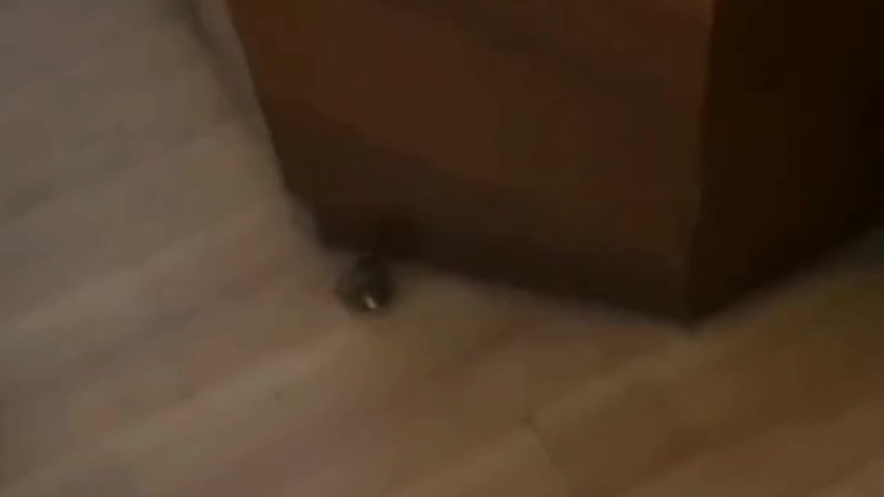 What happened? I don't know
