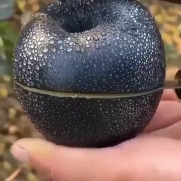 Apple "Black Diamond"