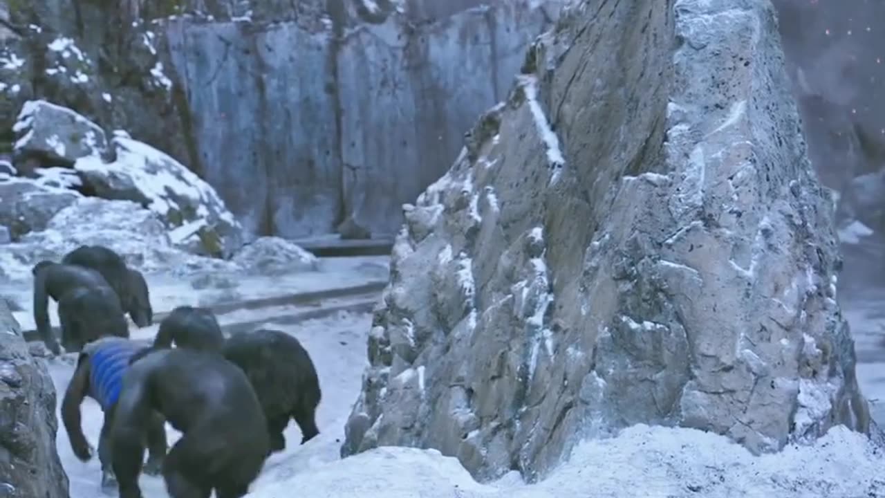 Planet of Apes