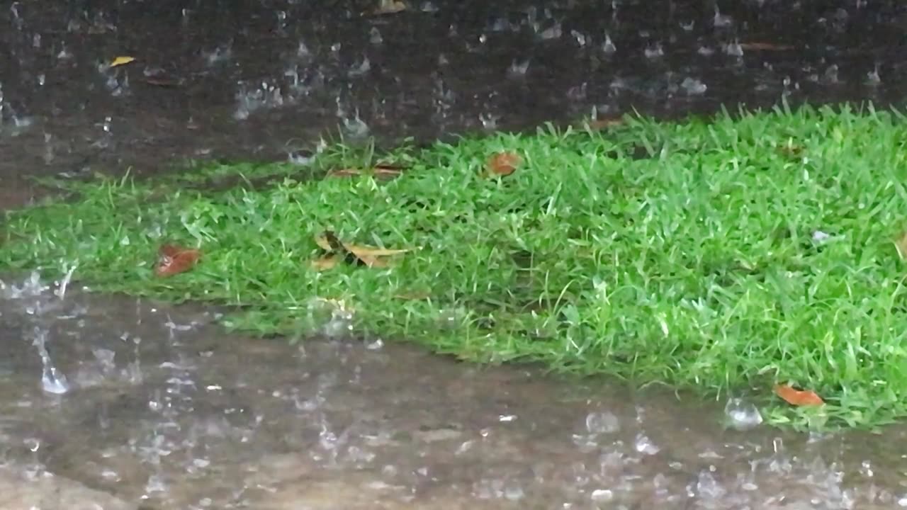 1 Hour Calming rain Meditation Relaxation Focus Study Deep Sleep