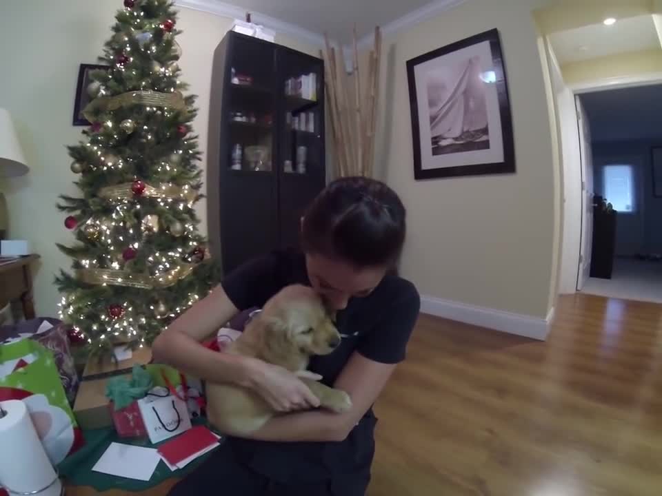 Surprised my wife with a golden retriever puppy for Christmas