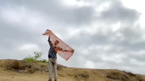 Just Just say thank 😊 🙏 😌 🙂 ☺ and thanks again and