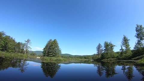 Pond View