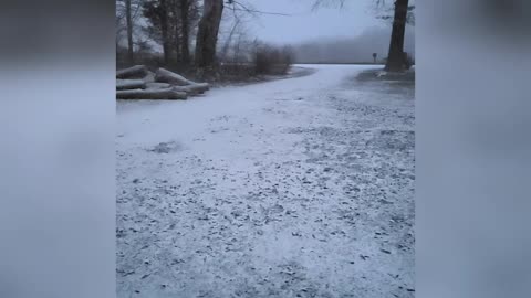 Snowflakes In Slow Motion