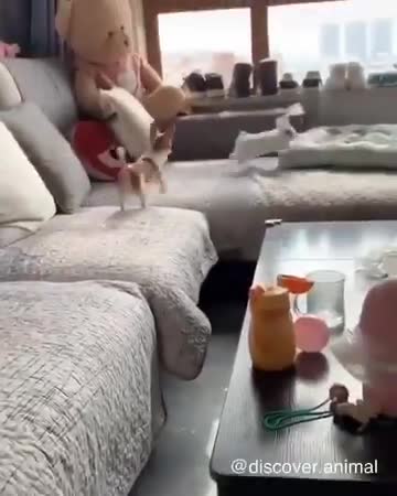 Catch me if you can 🐰💗