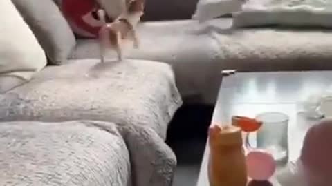 Catch me if you can 🐰💗