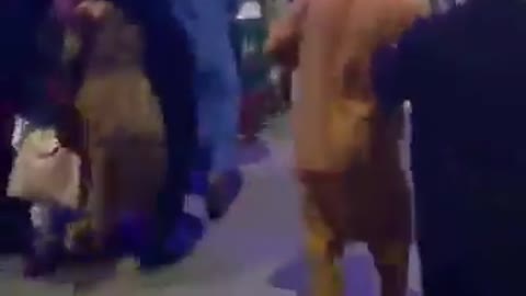 Thousands want to leave Afghanistan and are panicking.