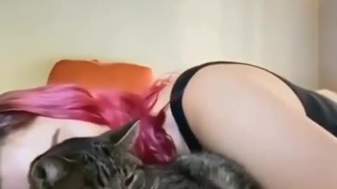 Funny cat reactions