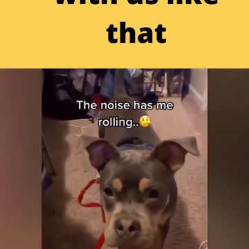 don't joke with us like that