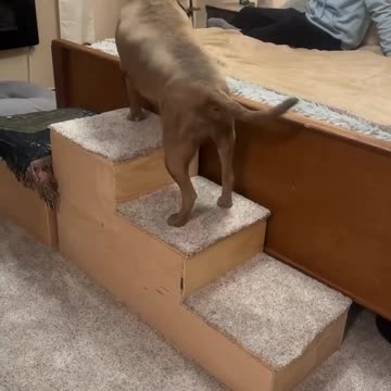 Looks like a slip and fall insurance fraud case to me