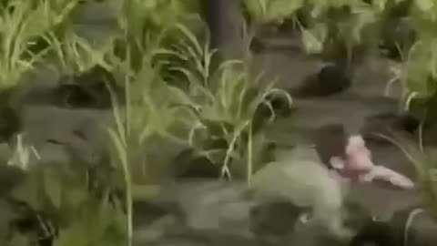 Booby Traps Vietnam war