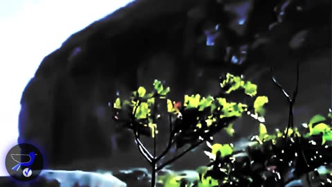 Danger☠️⚡A strange being, supposedly GIANT, in Paraná Brazil