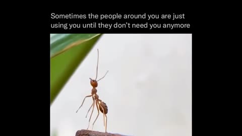 Motivation speak