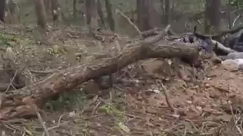 Russians Leave Only Their Dead