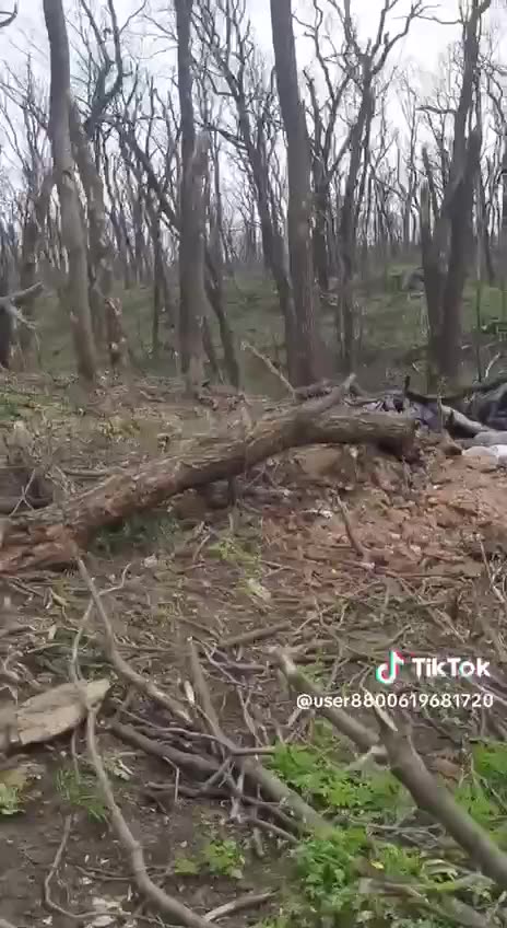 Russians Leave Only Their Dead