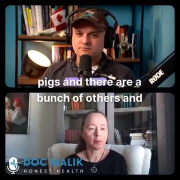 Livestock being injected with mRNA. Dr. Malik and Sasha Latypova discuss.