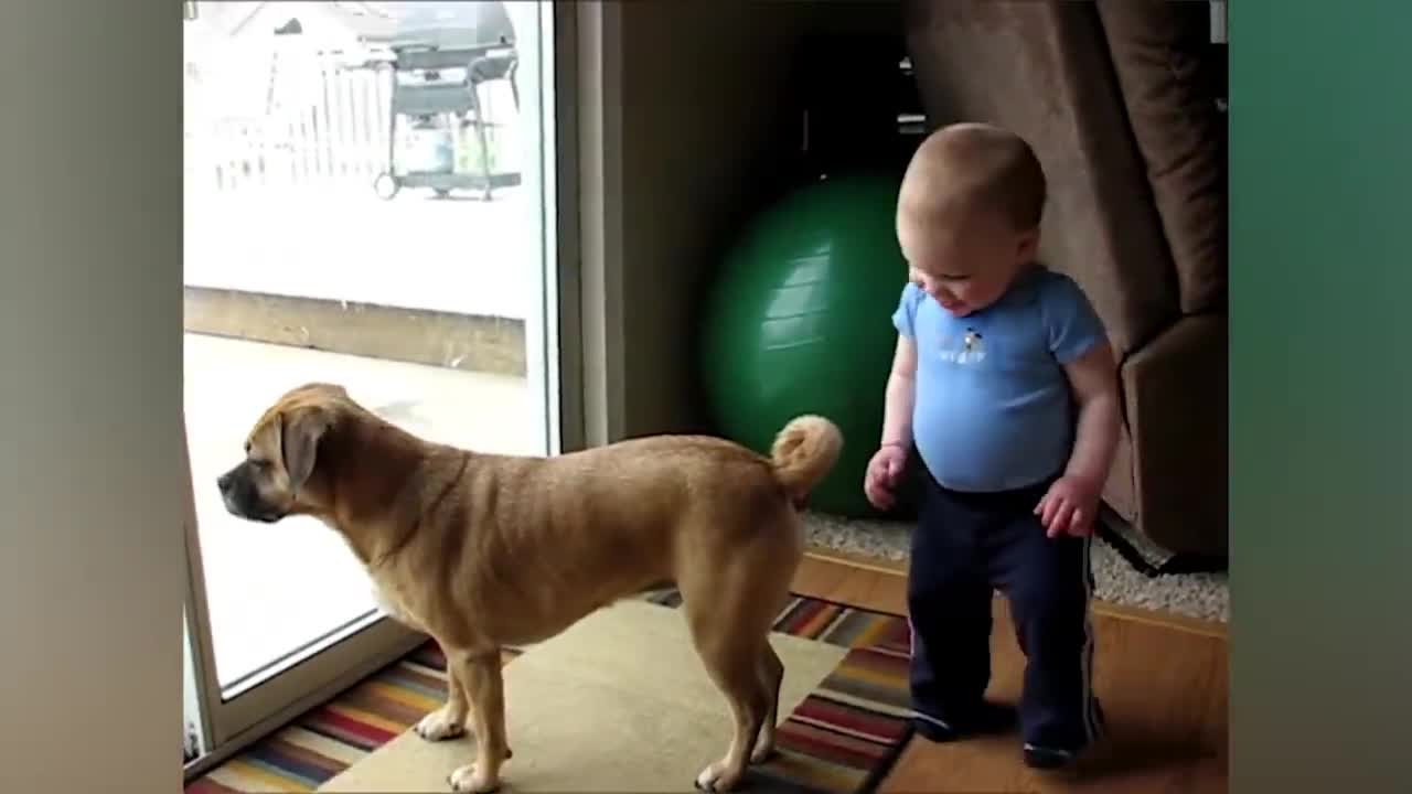 Cute Babies Playing With Dogs Compilation Funny Baby And Pets