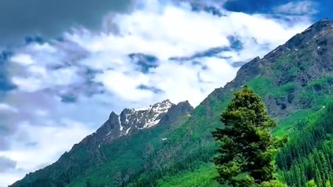 Nature
