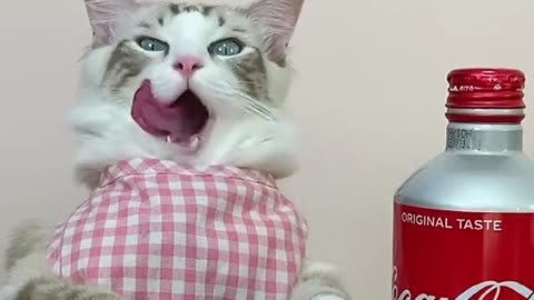 Let me show you the trick 😄 Duet with and Mamaaa from