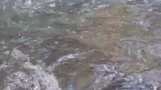 Explorando o Rio São Miguel! Belos cenários