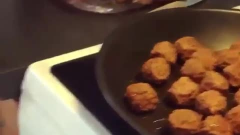 Funny 🐕 Dog