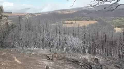 Wildfires breakout in Northern Spain following heatwave - BBC News