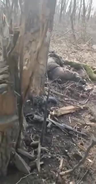 Ukraine War GoPro footage of trench battle around Bakhmut