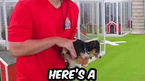 Mr. Beast
