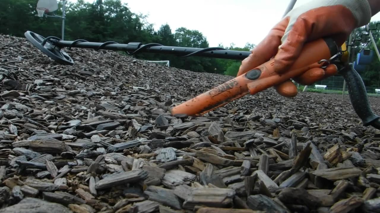 School Bus stop finds with Garrett Apex Predator