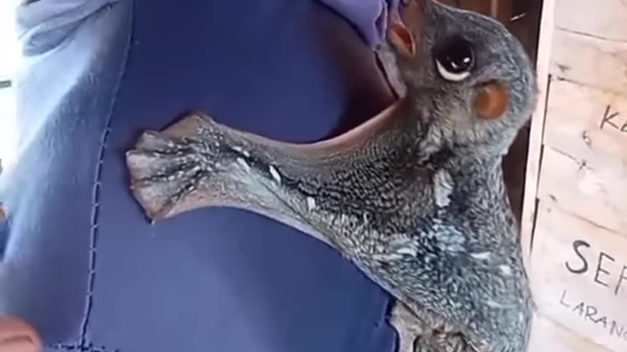 Freakishly cute, frighteningly adorable.